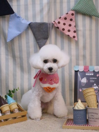 20250517ゆわちゃん